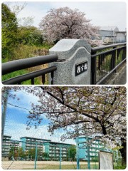 おはようございます。