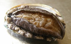 【お題日記】外人さんと関係もったことある？