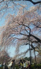 花見ヽ(・∀・)ノ