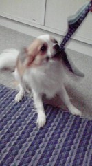 元気だね”レオ君