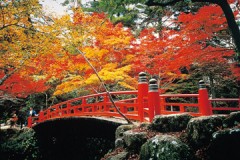 月５回って、多いの＾＾