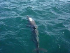 カーちゃん現る＾＾