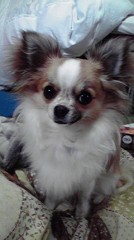 いい天気だ～＾＾