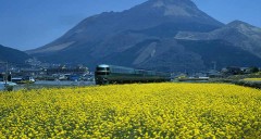 どうかしてるぜ～３＾＾