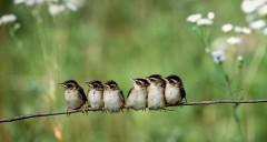台風１号接近中＾＾