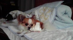 性春講座＾＾