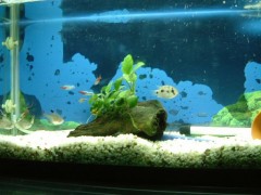 とりあえずログ初挑戦！