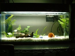 本日の収穫っ！？