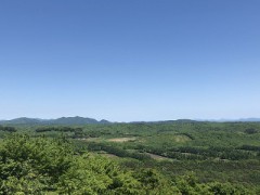 【お題日記】冬の恋と夏の恋はどっちが好き？