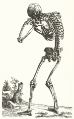 ハプバーに行きたいのだ！