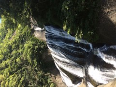 【お題日記】買い物した後レシートどうしてる？