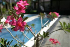 【お題日記】こんな場所でHした事あります！