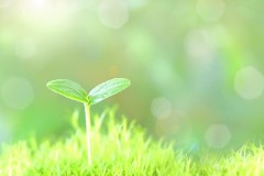 今日という日はギフト