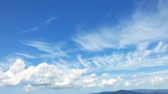 あなたのこころに