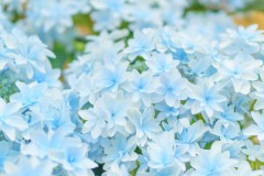 誰よりも君を愛す