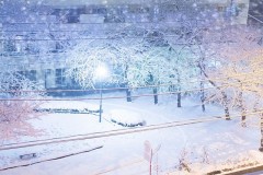 雪の東京