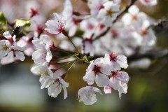 ねえ、私のこと恋しかった？