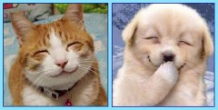 ほしいのは本物の笑顔