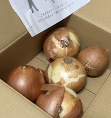 玉ねぎ！わら