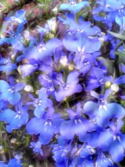 終わり無き…独りの旅…