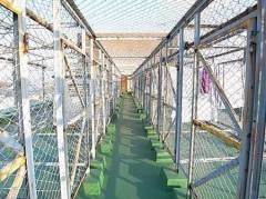 【お題日記】外出中にムラムラした経験