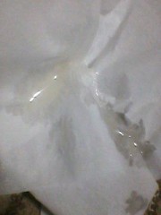 【お題日記】自分はエロいって思う？