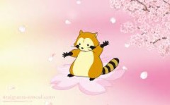 さくら満開です!!