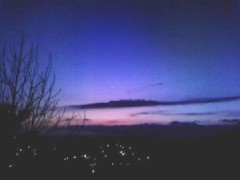 ホンモノに出逢う