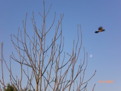 お引越し（●＾o＾●）