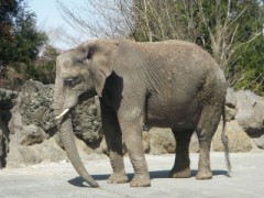 ふと、さみしくなる