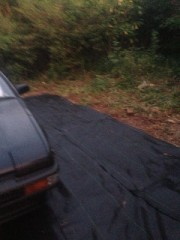 これでも２人前くらい食べる【お題日記@あおくま】