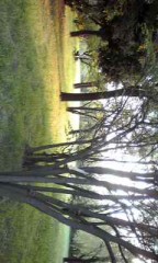 ナーバス中なんよ