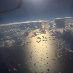 ネットはみんなわたべ、