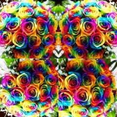 ココ退会します