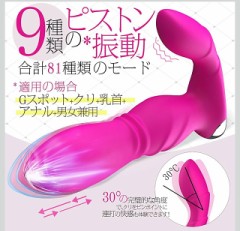 コレで一日お仕置されたい…