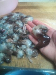 知っててほしくて