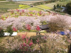 新年度スタート