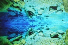 今後注目 仁淀川