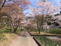 好きな作家ではないが