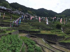 だんだんへいってきた