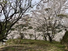 知ってて損はない