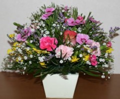 ★☆★　　Best Friend　　★☆★