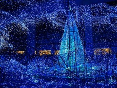 ★★★　　いつかのメリークリスマス　　★★★