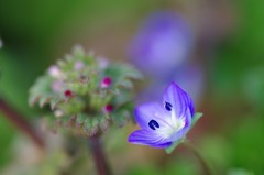 素敵な～写真だけ(〃'∇'〃)ゝｴﾍﾍ