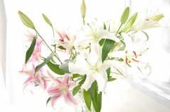 デジ友さん～そちらは　大丈夫でしょうか？