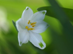 まったり～～日♪