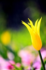 「ありがとう」よりも...。