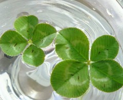 ごめんなさい；