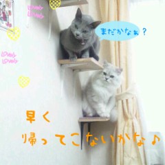 【お題日記】あなたの待受け画面は、どんなデザイン？