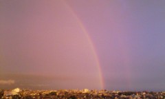 最近見た素敵な光景！！